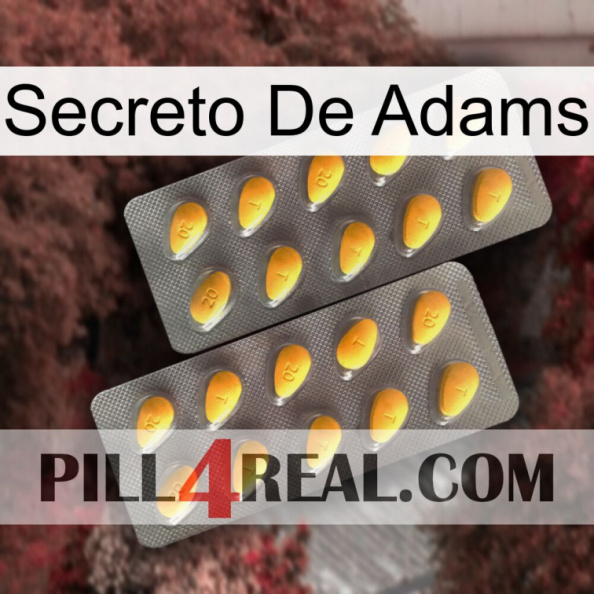 Adams Secret cialis2.jpg